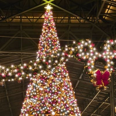 chilidekana's profile picture. 