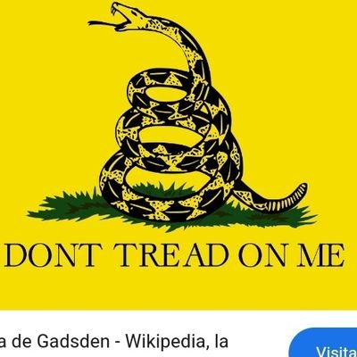 JoseAlv47884490's profile picture. 
