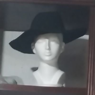 HvAldoZc's profile picture. 