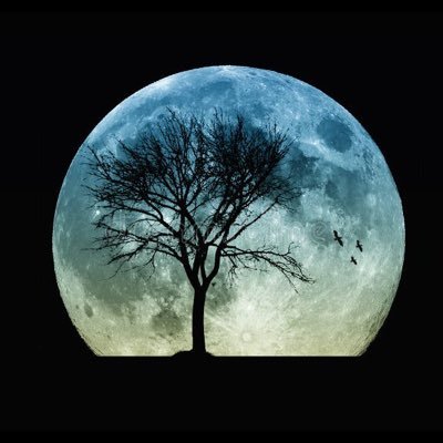 moonshadow2710's profile picture. 