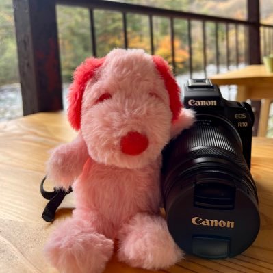 📷CanonEOSR10 🔰 のんびり載せてます𓈒𓏸𓈒꙳𓂃 📷花・風景・水族館 ✿ 無言フォロー失礼します🙇♀️#写真好きな人と繋がりたい⚠️DMお断りしてます ✿ 写真転載禁止 ✿ よろしくお願いします︎❁⃘*.゚