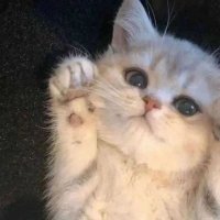 💜 (@_980909ata) 's Twitter Profile Photo 💜 (@_980909ata) 's Twitter Profile Photo
