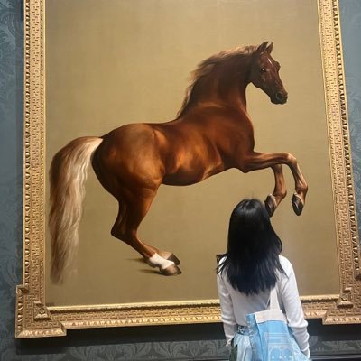 xiur14's profile picture. Hi, all.