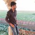 hari_umjwal🧢 (@hariumjwal) Twitter profile photo hari_umjwal🧢 (@hariumjwal) Twitter profile photo