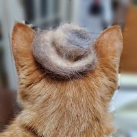 春・桜舞 (@_rainbow_sakura) 's Twitter Profile Photo