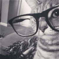 kile (@kilemarch) 's Twitter Profile