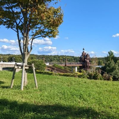 5_straight5's profile picture. アニメに声優にドラマに雑多なはらっぱ