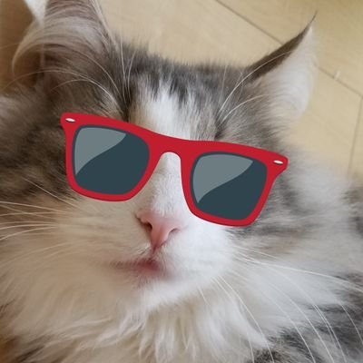 ジョー伍長さんのプロフィール画像