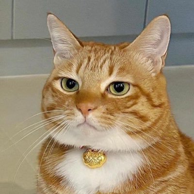 Fredymerpy's profile picture. 