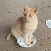 jeepsec (@jeepsec) 's Twitter Profile