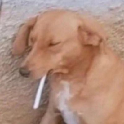 _Parkerr1's profile picture. 