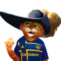 Gato de Boca 🌞🇦🇷 (@gatodeboca) 's Twitter Profile