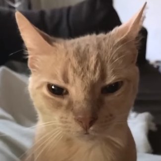 DeverSick's profile picture. 