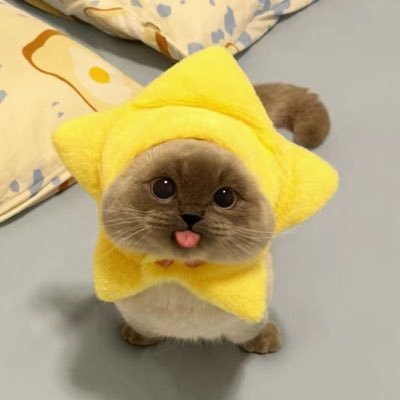 Ali3n offlineさんのプロフィール画像