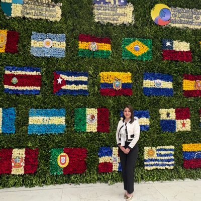 Procurement | Comex | SCM | Customs at Navire International Logistics | Multilingual speaker 🇪🇨 🇺🇸 🇮🇹 🇫🇷 🇮🇱 🇨🇳