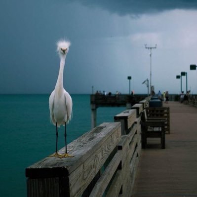 si può guarire dalla ridondanza? “si”. contattami e ti salverò