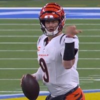 BengalsHead (@bengalshead) Twitter profile photo
