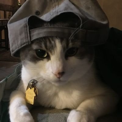 briquki's profile picture. 