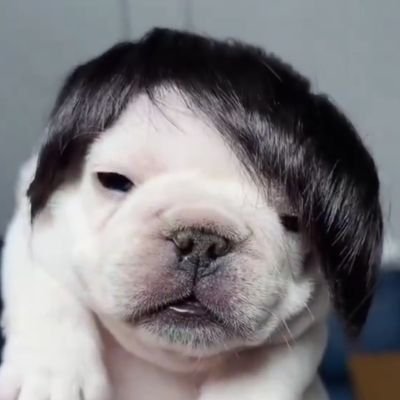 Mr.Jasonさんのプロフィール画像