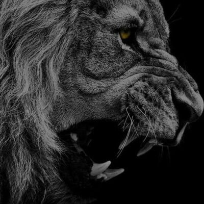 Mister_Prime07's profile picture. A man with a God | Immortal | Pro-African | Certified Data Analyst | Soon-to-be Systems Engineer