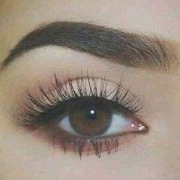 انثى بلا قيود (@pubgbola) 's Twitter Profile