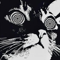 B.A.R.G (@b_a_r_g) 's Twitter Profile