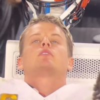 Zappey (@zappeylive) 's Twitter Profile