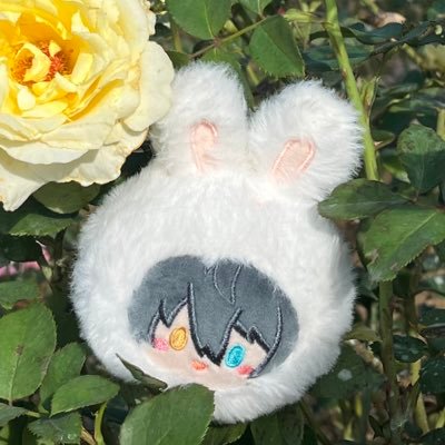 maomao41999048's profile picture. 