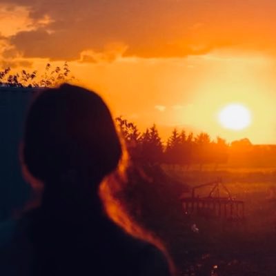 LouWestin's profile picture. I’m respectful on here like normal humans. If u r reading this you are probably mad at something I said. If so, go yell out your window. I couldn’t care less :)