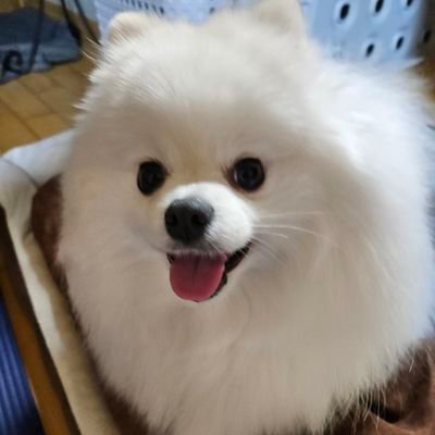 windo752's profile picture. 