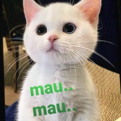 BangGanten10155's profile picture. 