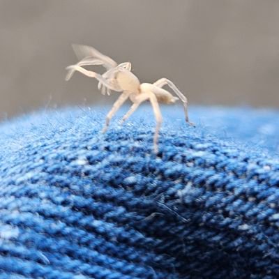 kuraugaaaaa's profile picture. lt オードリーのオールナイトニッポンIN東京ドーム参戦
🌞
🦁
🌈
05
調理師