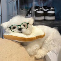 li (@knjwnii) 's Twitter Profile