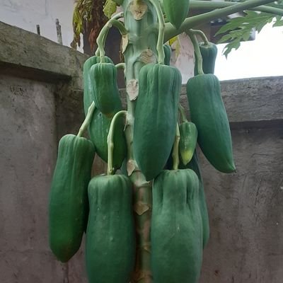 sontio2510's profile picture. 