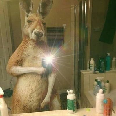 S53596Smit's profile picture. I'm batman