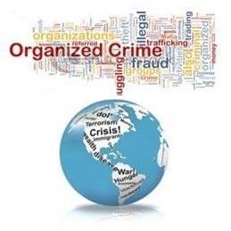 Terrorism Studies and Transnational Organized Crime