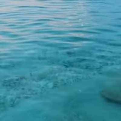 LiveAmourLife's profile picture. God. Love. Fam. Friends. Food. ♥ in that order