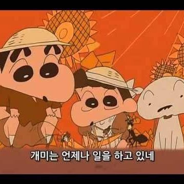 kimgoingkk's profile picture. 김기자입니다