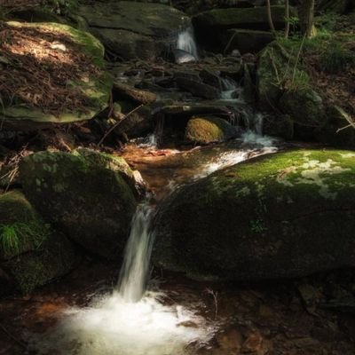 ただ私が吐き出したいだけの言葉に沢山のいいねをありがとうございます。わからない事には下手にツッコミ入れないスタイルで、今後も間違った言動にNOという姿勢を示せる人でいたい。黙っていては何も解決する事なんて無いですから、意思表示は法に逸脱しない範囲で述べていければと考える人であります。いつもありがとうございます🙇♂