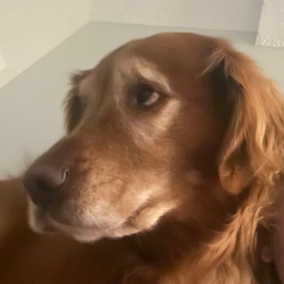 DrRobotDO's profile picture. 