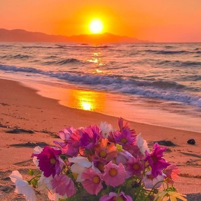 IQ50289291's profile picture. 980⁰C HOT memes in the street !!! ♨️ Let's make the world more beautiFUN ♨️ WAGBI - We're All Gonna Bake It !!! ♨️