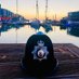 Royal Gibraltar Police (@rgpolice) Twitter profile photo Royal Gibraltar Police (@rgpolice) Twitter profile photo