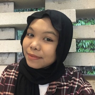 stegohijau's profile picture. 