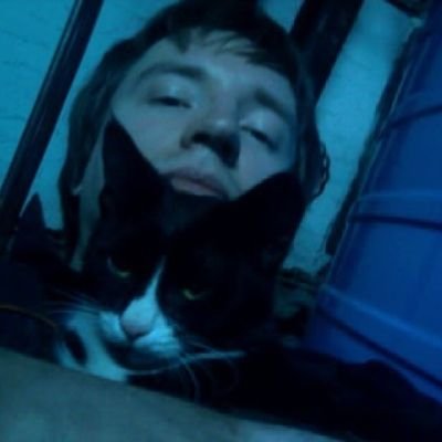 nightfligher's profile picture. 