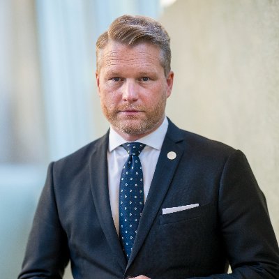 Riksdagsledamot, Kulturpolitisk talesperson och Ledamot av kulturutskottet