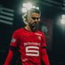 Le Twittos du SRFC (@xzregy) Twitter profile photo Le Twittos du SRFC (@xzregy) Twitter profile photo