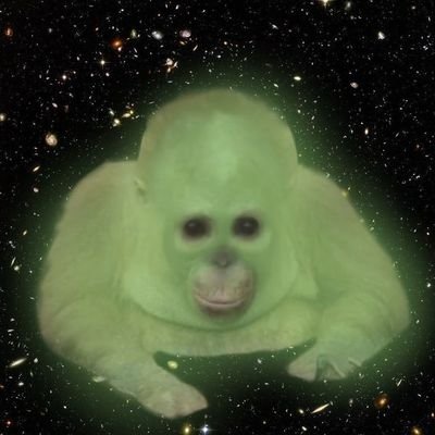 purpirinx's profile picture. piba, re embolada                                         chronically online (｡- .•)