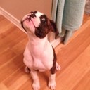 Jack Previte - @PackJrevite - Twitter