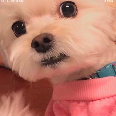 eunjich95155722's profile picture. LOVE