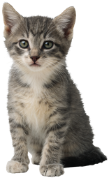 daddysgirl_79's profile picture. 